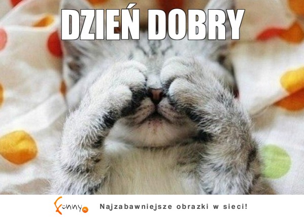 Dzień dobry