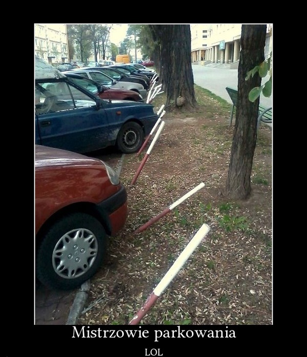 Mistrzowie parkowania