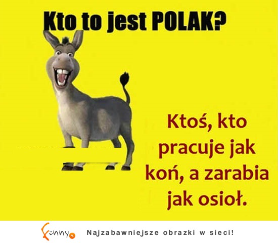 Kto to jest POLAK. Zgadzasz się?