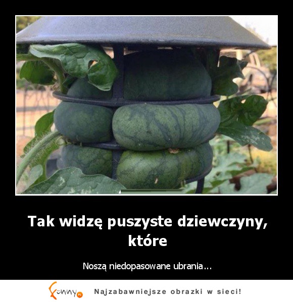 Tak widzę puszyste dziewczyny