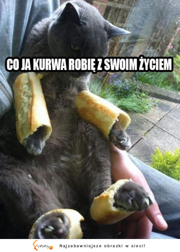 Koteł