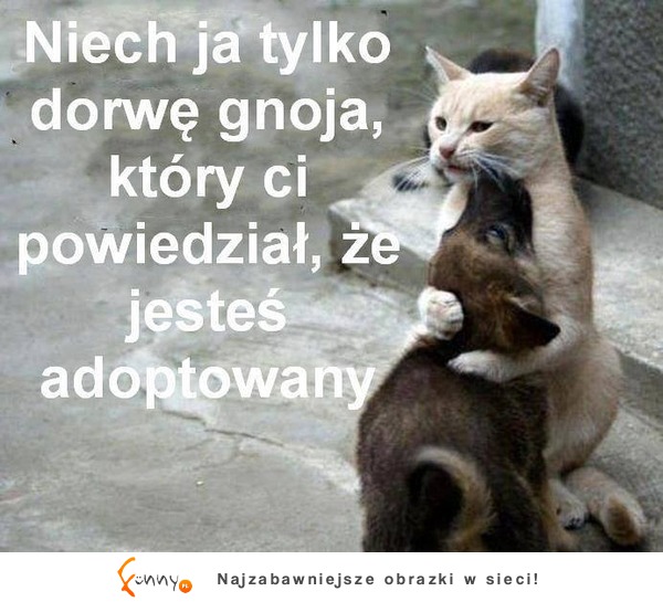 Dorwę ich!