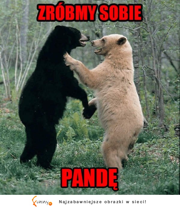 Zróbmy sobie pandę