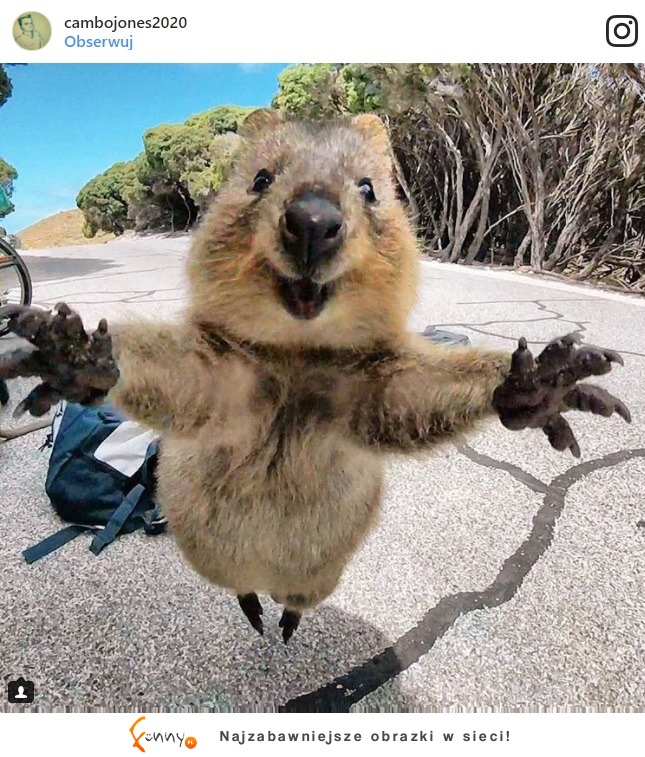 Australia – to nie inny kraj, a inny świat! Australia – to nie inny kraj, a inny świat!