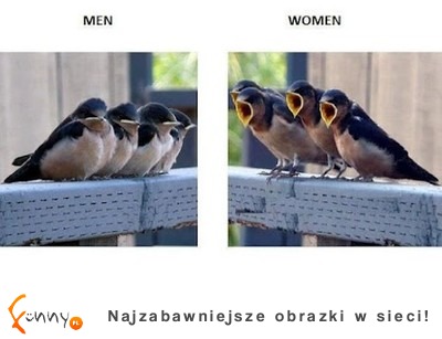 ROZMOWA mężczyźni vs kobiety