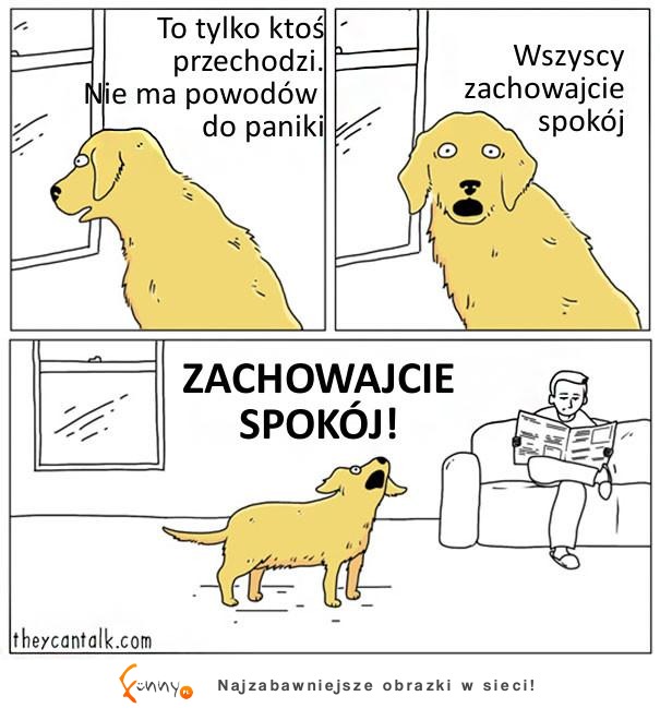 Co by było, gdyby zwierzaki potrafiły mówić Co by było, gdyby zwierzaki potrafiły mówić