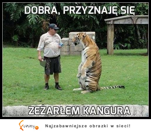 Przyznaję się