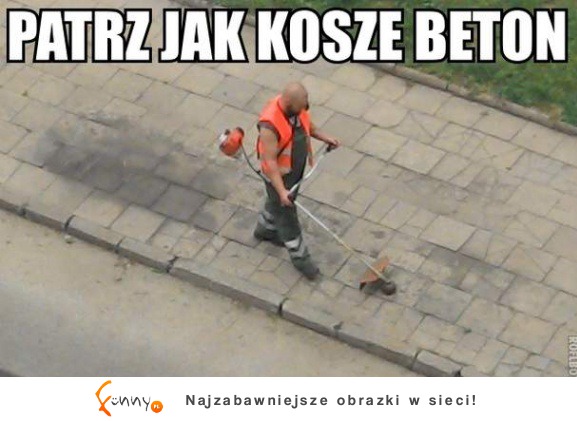 Kosze beton