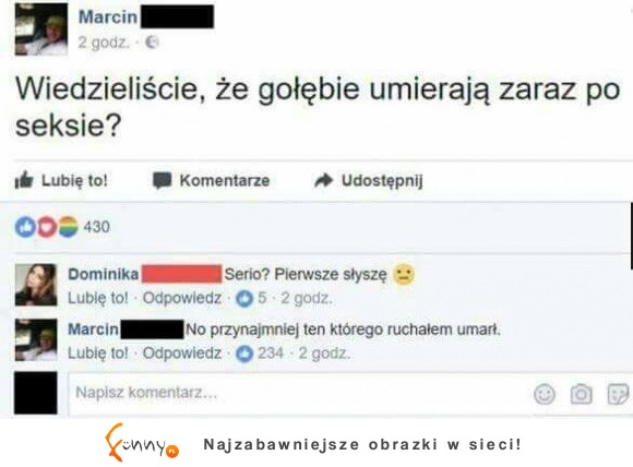 wiedzieliście, że gołębie umierają?