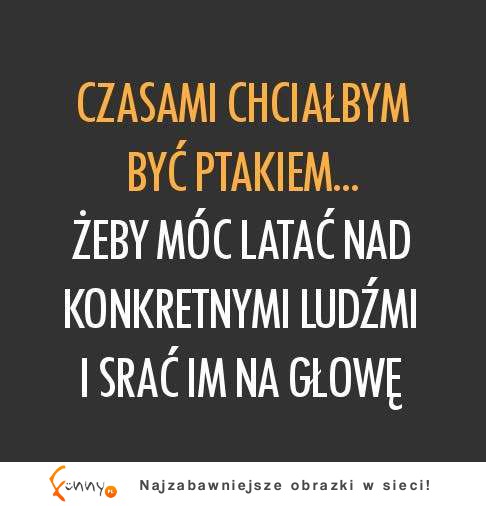 Czasami chciałbym być ptakiem