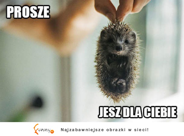 Proszę jesz