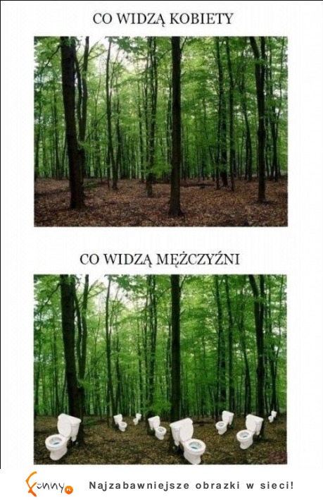 AS- co widzą KOBIETY a co widzą MĘŻCZYŹNI- dobre! :D