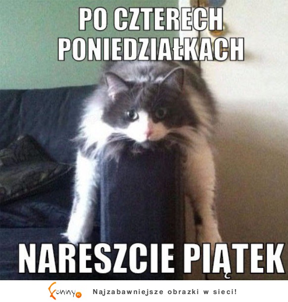 Nareszcie piątek