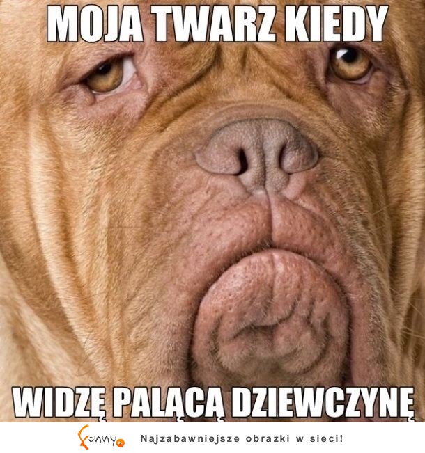 Moja twarz