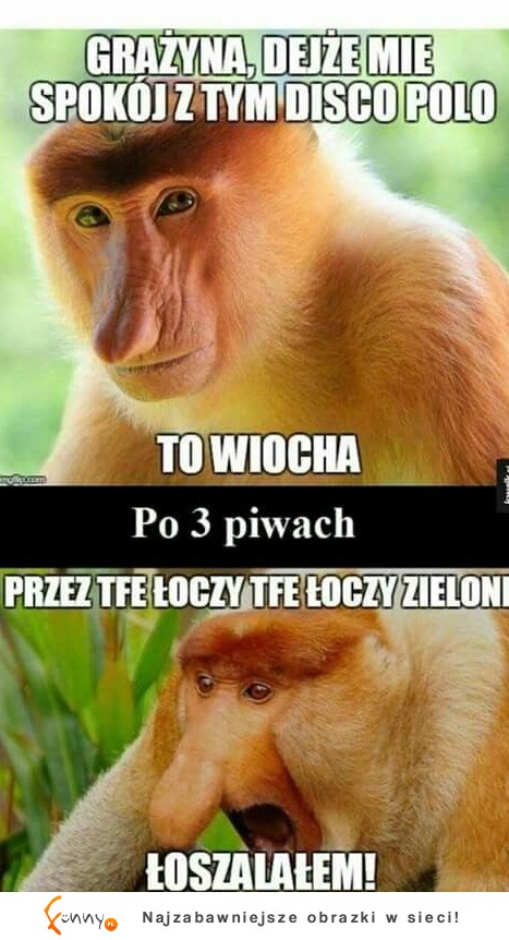 łoszalałeeeem