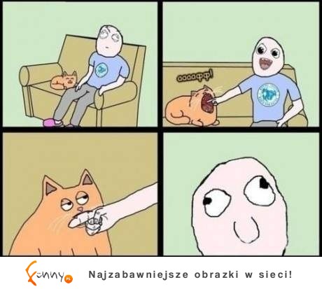 Ty też tak robisz swojemu kotu, gdy on... :D