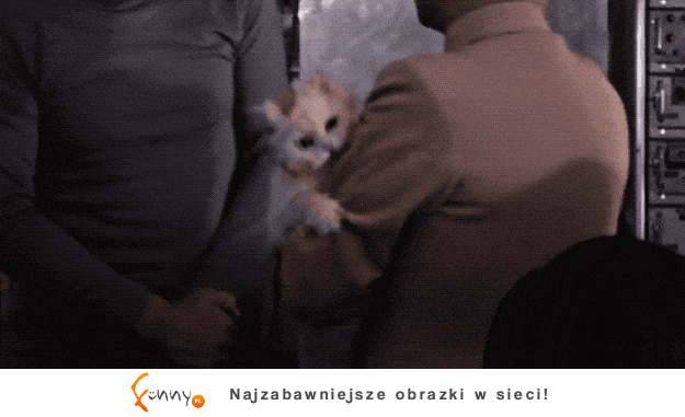Mistrzowie drugiego planu Mistrzowie drugiego planu