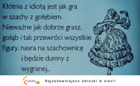 Nie kłóć się z idiotą