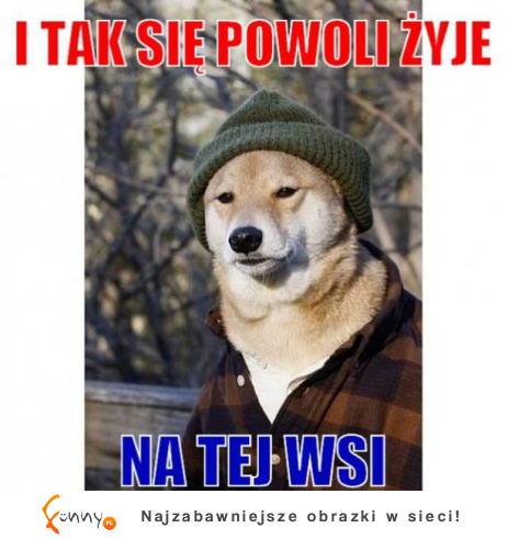 I tak się powoli żyje