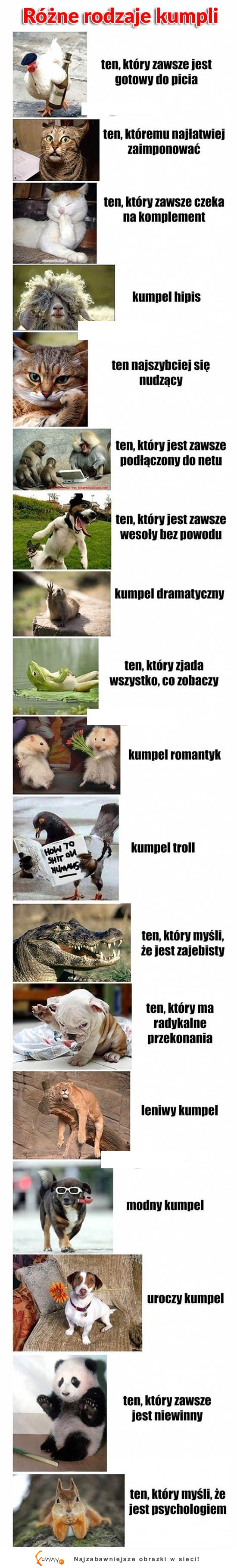 Różne rodzaje KUMPLI! Masz takich. ;)