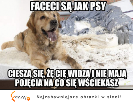 Faceci są jak psy