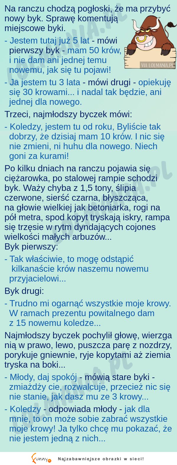 Byki bardzo się zbuntowały, aż nagle... HAHA młody najlepszy!