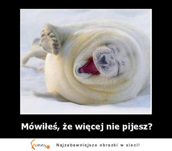 Mówiłeś, że więcej nie pijesz?