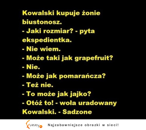ZOBACZ jak KOWALSKI kupuje biustonosz :D Haha!