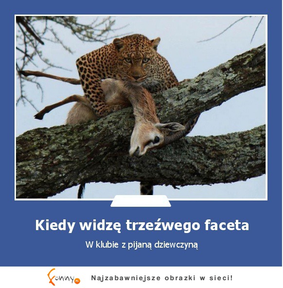 Kiedy widzę trzeźwego faceta