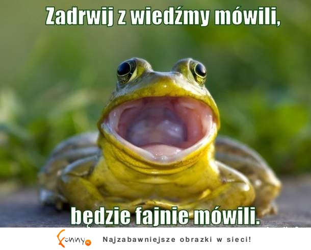 nie drwij