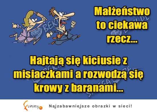 MAŁŻEŃSTWO to ciekawa rzecz! Zobacz dlaczego