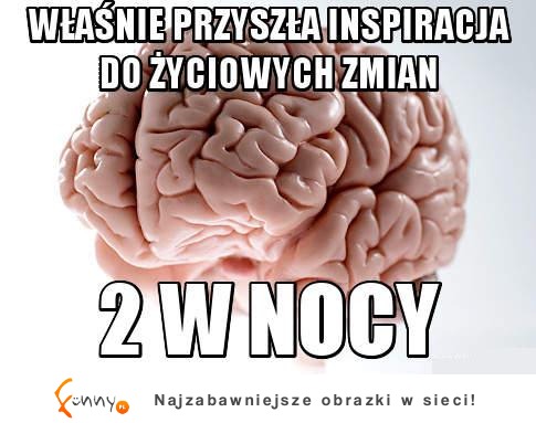 Najlepsze pomysły tylko w nocy