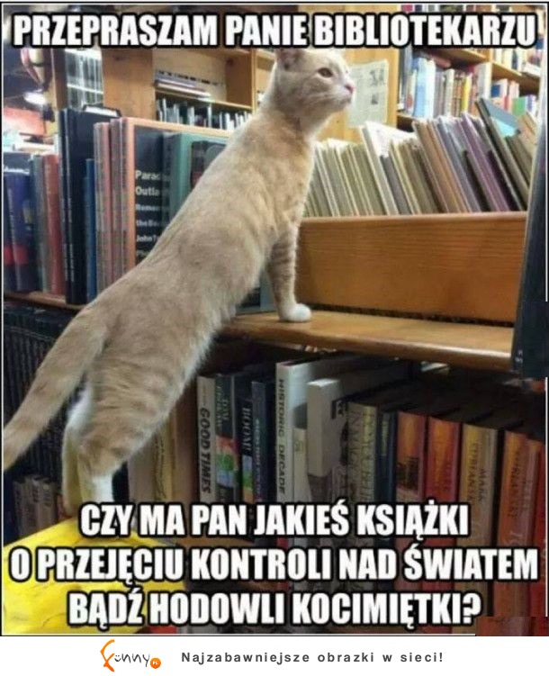 Tymczasem w bibliotece XD