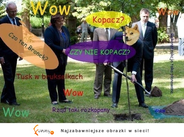 Kopacz, czy nie kopacz