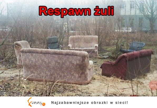 Respawn żuli