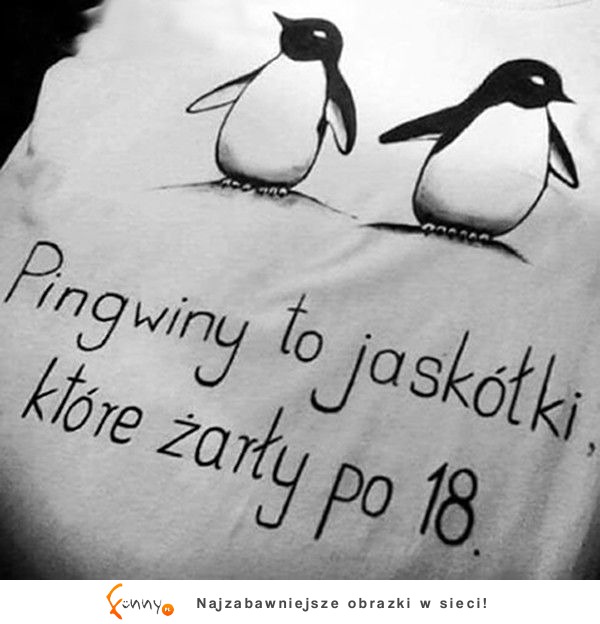 Pingwiny