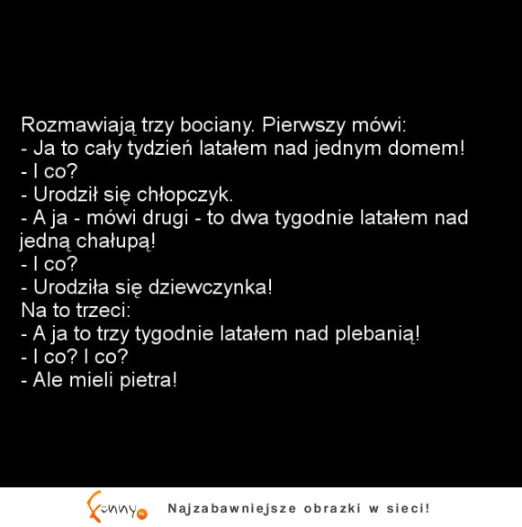 Latał latał i wylatał XD sprawdź koniecznie jak to się skończyło!