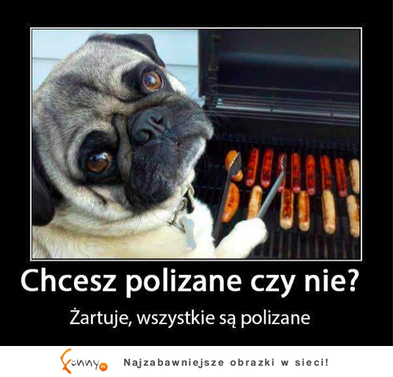 Polizane czy nie?