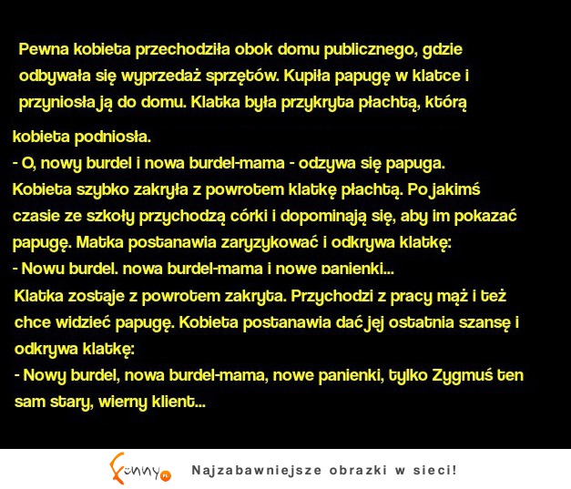 Pewna kobieta kupiła papuge i przyniosła ją do domu! ZOBACZ czego nauczyła się papuga! DOBRE :D