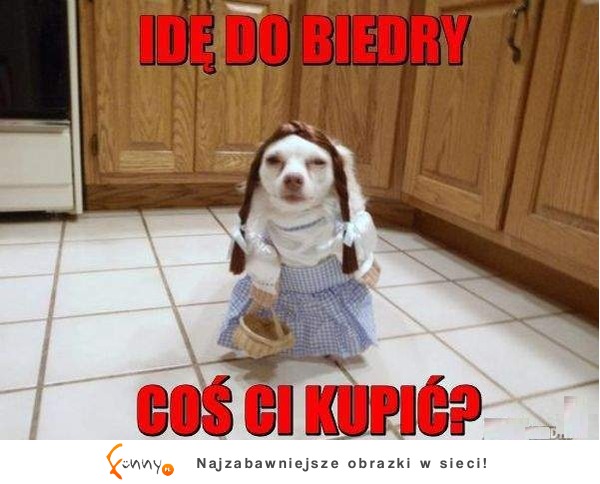 Idę do biedry coś ci kupić? :D