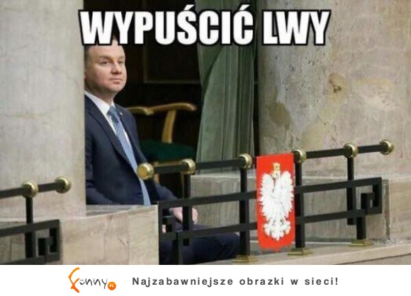 wypuścić lwy!