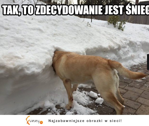 Tak to śnieg