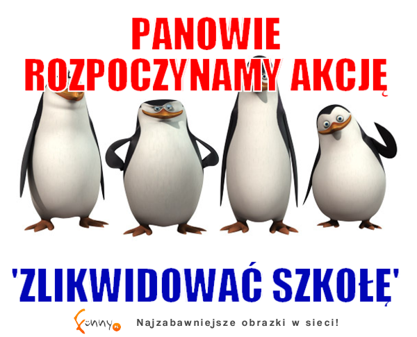 Operacja "Zlikwidowac szkołę" :D