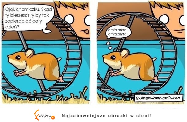 Źródło mocy chomiczka