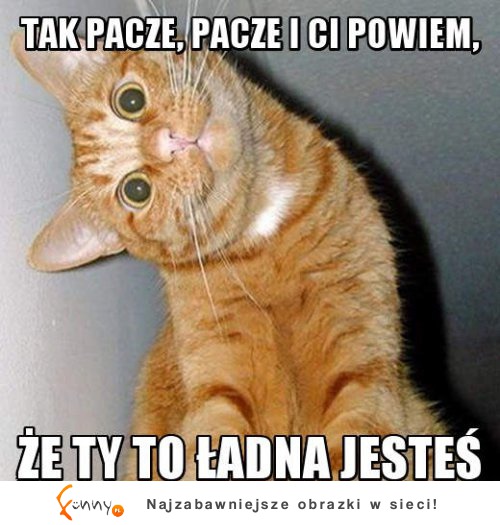 Tak pacze i pacze