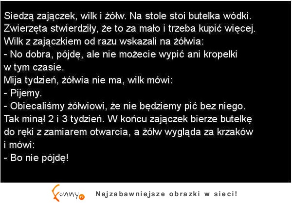 Zajączek z wilkiem i żółwiem piją wódkę. Kto pójdzie do sklepu po kolejną butelkę? :D