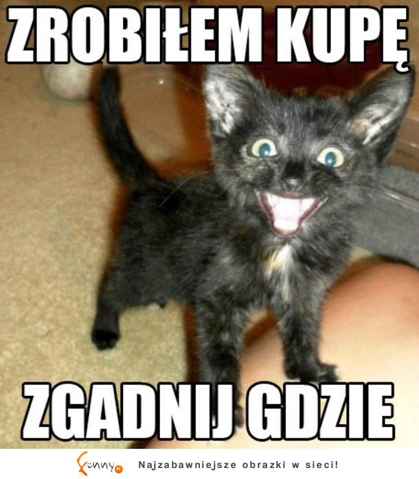 Zgadnij gdzie