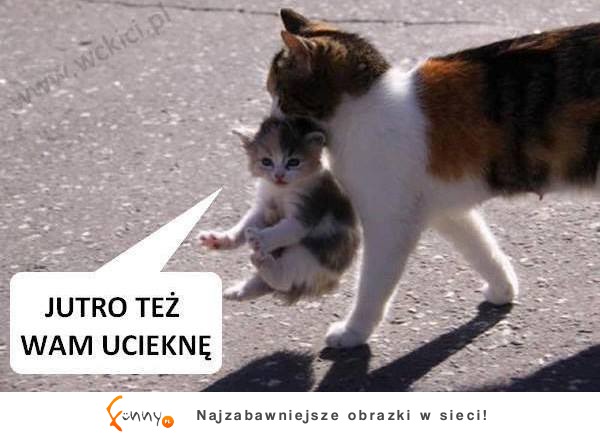 Jutro też wam ucieknę