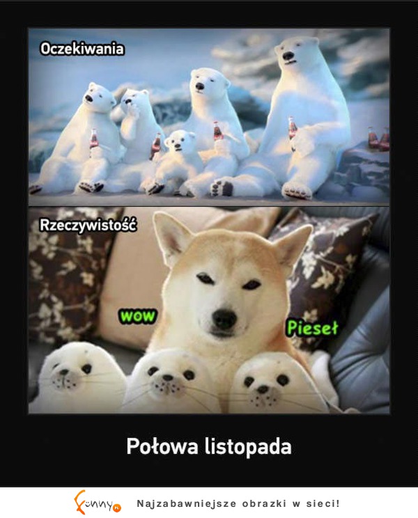 Oczekiwania vs Rzeczywistość