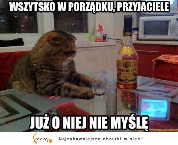 Już nie myśli